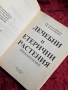 Лечебни и етерични растения| Дървесни и храстови видове, снимка 15