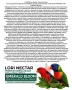 Нектар за папагали Лори "Emerald Bloom" с ъс спирулина,билки,пчелен прашец Lorikeet/Lori, снимка 4