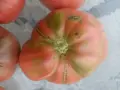 Свежи черита в кутийка , снимка 4