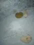 Mini Pomeran sladyri, снимка 9
