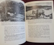 Визуална история на английското изобразително изкуство / A Concise History of English Painting, снимка 12