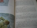 Детска кухня - 1961 г., снимка 8