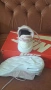 Nike НОВИ 40€, снимка 7