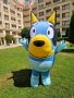 Гига Bluey блуй, снимка 2