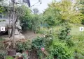 Вила 50м2, парцел 3112м2, 73500 евро, Страшимирово, снимка 1