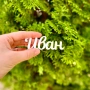 Тейбъл картички, Картички за Име, Картички за Маса, Сватба, Кръщене, Юбилей, Абитуриентски бал, снимка 9