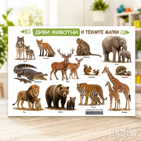 7039 Образователно табло Диви животни и техните малки – А3, ламинирано
