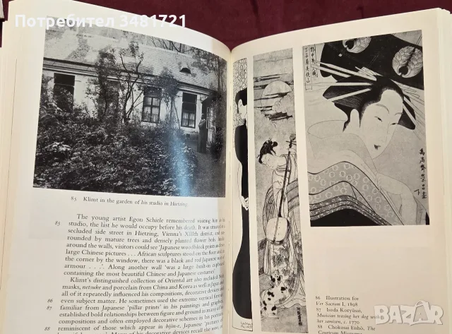 Климт - живот и творби / Klimt, снимка 12 - Изкуство, музика, кино и фотография - 55361959