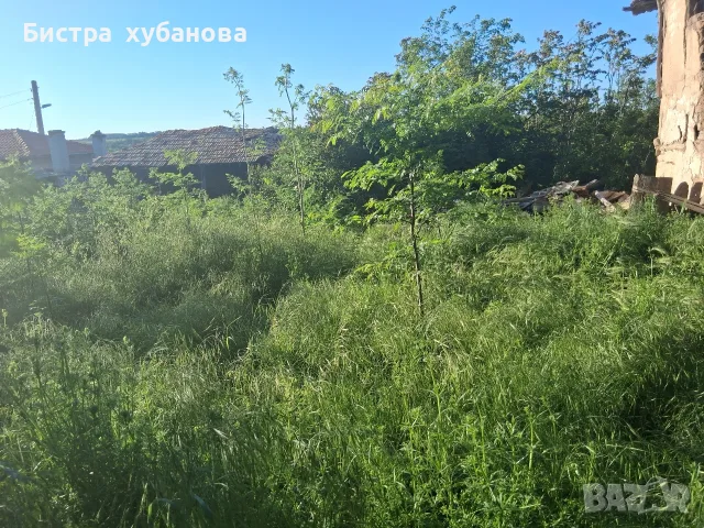 от собственик,без посредник,продава парцел в който има стара къща за събаряне, снимка 5 - Парцели - 55596712