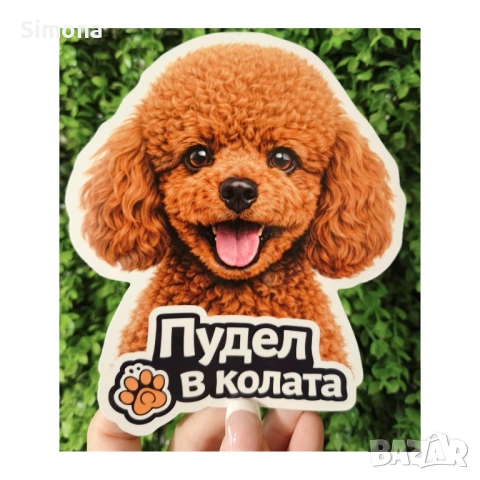 Стикери за кола - куче/котка в колата - различни породи, UV защита