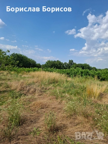 Заграден парцел, снимка 2 - Парцели - 55132078