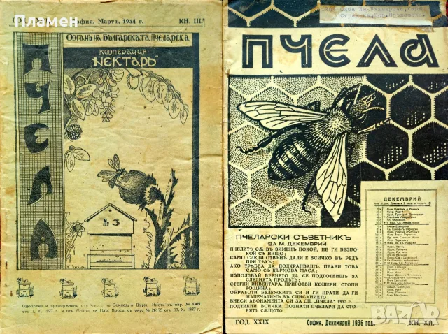 Пчела. Кн. 6 / 1931, Кн. 1 / 1932, Кн. 3 /1934, Кн.12 /1936, Кн. 4 / 1939, снимка 5 - Антикварни и старинни предмети - 55325312
