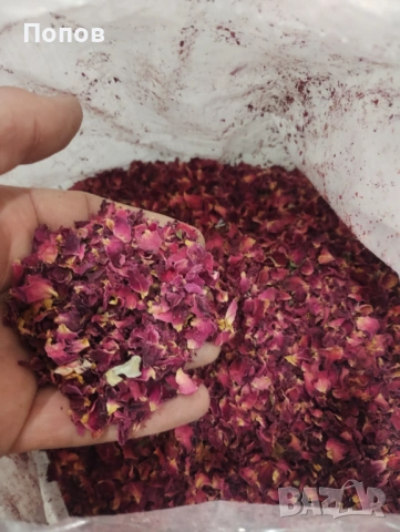 Сушен Розов цвят венчелистче / Rosa centifolia / , снимка 2 - Декорация - 54746632