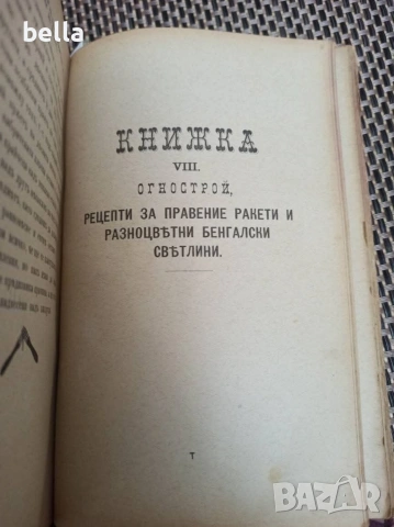 Антикварно рядко издание -Разни искуства-П.Н.Милев 1891 год., снимка 13 - Антикварни и старинни предмети - 54957828