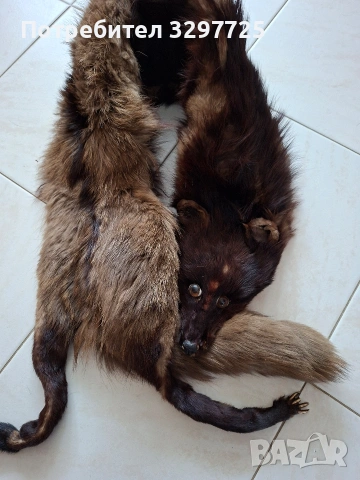 Кожухчета от лисица!, снимка 11 - Палта, манта - 53996386