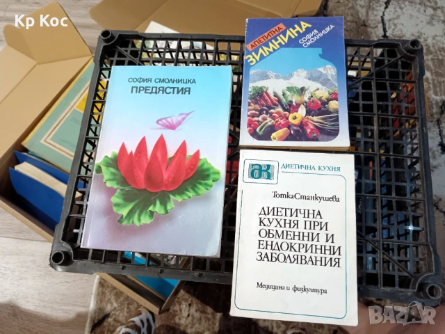 Игнат Кръстев – Лечение с масаж, снимка 4 - Българска литература - 54668446