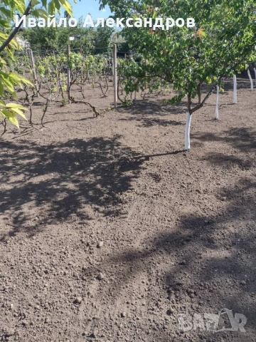 Продавам къща с двор и гараж в Долни Дъбник, снимка 8 - Къщи - 54779100