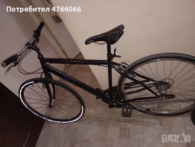 2 бр 28цола 250 ЕВРО, снимка 4 - Нумизматика и бонистика - 54163931