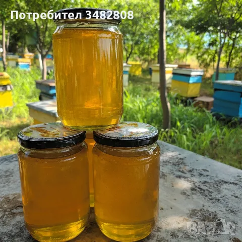 Натурален пчелен мед, снимка 3 - Пчелни продукти - 51625375