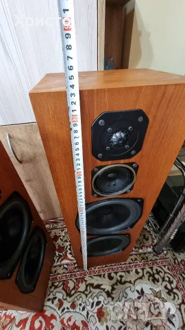 Тонколони Magnat Sonobull 35, снимка 6 - Тонколони - 55378498