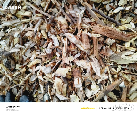 ЧЕРНИЧЕВ МУЛЧ / ДЪРВЕСЕН ЧИПС / Натурален Мулч - ГРАДИНАРСКОТО ЗЛАТО, снимка 16 - Градински цветя и растения - 51494873