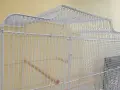 ПРОМО!!! Нова луксозна клетка за птици , снимка 3