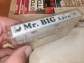 MR.BIG UNISON RECORDS 1992 1008261430H2E7R, снимка 9