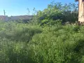 от собственик,без посредник,продава парцел в който има стара къща за събаряне, снимка 5