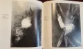 Helmut Schober. Light-Licht, снимка 15