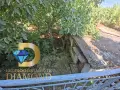 Двуетажна къща близнак в село Великан, общ. Димитровград, снимка 7