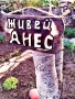 Една  красива идея за подарък ! , снимка 13