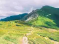 Орхидея в стъклена саксия с земя готова за отглеждане 6S9I, снимка 3