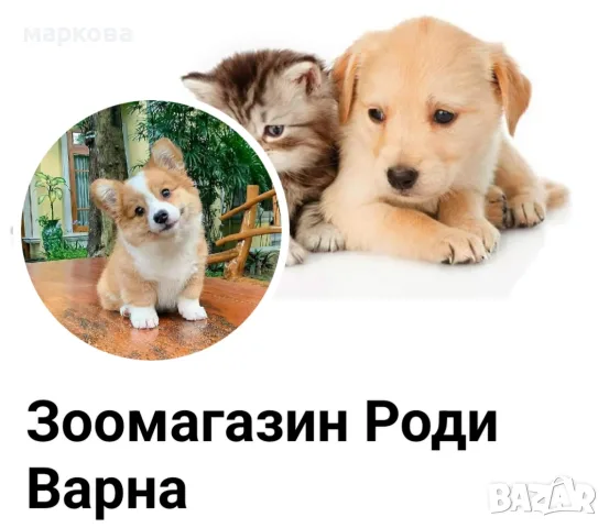  всички породи кученца
