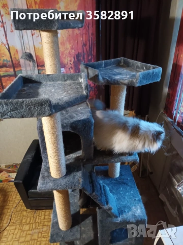 Катерушка , снимка 4 - За котки - 54709752