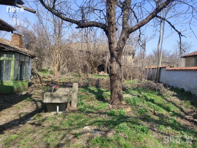 Къща в с. Полско Косово, обл. Русе, снимка 3 - Парцели - 54222275