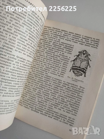Насекоми - паразити, снимка 3 - Специализирана литература - 55047320
