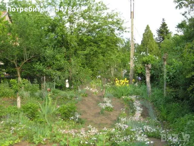 Парцел с постройка и вода в местност Арменски Лозя, снимка 2 - Парцели - 55607548