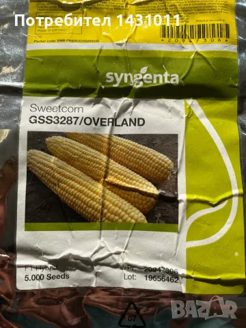 Царевица за варене, снимка 2 - Домашни продукти - 55472673
