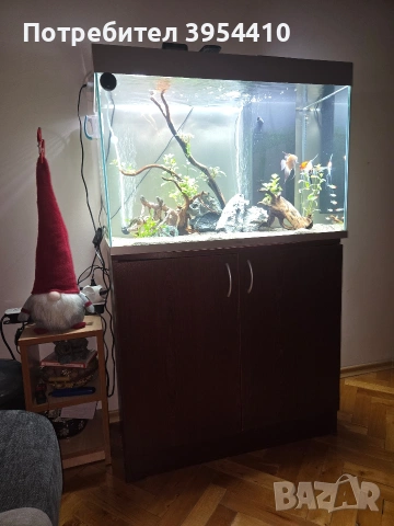 Аквариум CIANO 80pro +шкаф, снимка 2 - Аквариуми - 54652317
