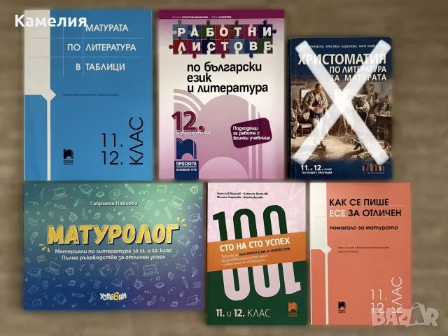 Помагала по български език и литература за 11. и 12. клас - подготовка за ДЗИ (матура)