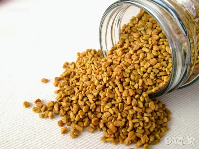 Fenugreek Seeds / Сминдух Семена 100гр