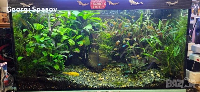 Продавам 110 л.аква с шкаф и всичко, снимка 2 - Рибки - 54024717