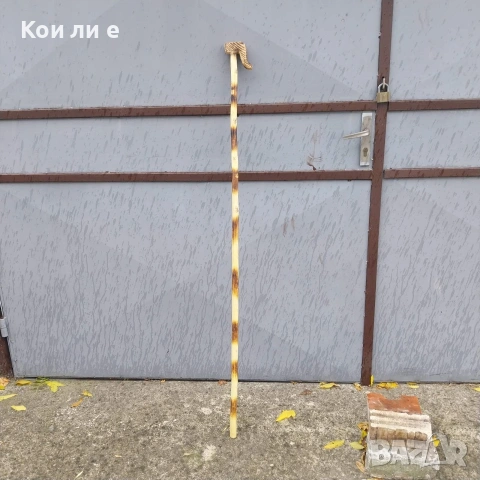 Гега, геги криваци , снимка 4 - Антикварни и старинни предмети - 54864869