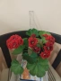 Мушкато различни цветове от 1 € и 2 €/бр, снимка 18