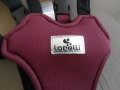 Колан за прохождане на бебе Lorelli Step By Step, снимка 4