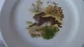 Шест броя чинии за основно Eschenbach Porzellan. Мотив диви ловни животни. , снимка 6