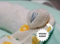 Bambinu Baby Nest Portable Pod, снимка 4