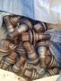 Джанти Citroen Xsara 15" BBS VESUVE, снимка 2