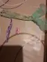 Оригинална кукла Ариел , снимка 5