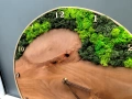 Часовник от масивно дърво и естествен скандинавски мъх, снимка 2